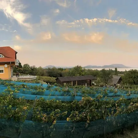 Casa vacanze Bellevue Balatongyörök