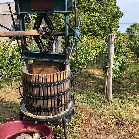 Bellevue Casa vacanze *